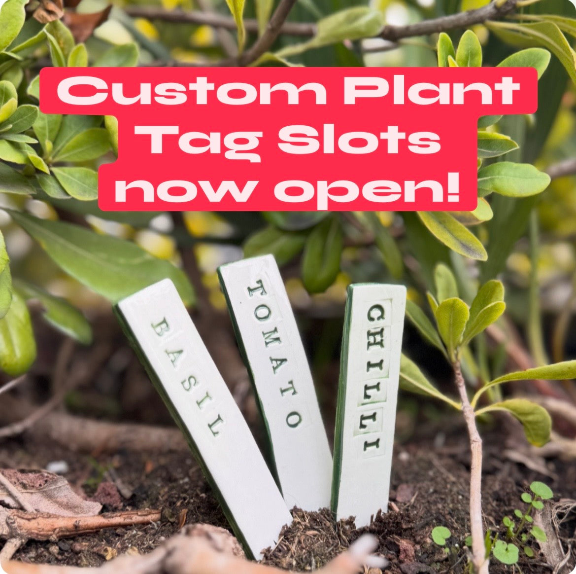 Custom Plant Tags