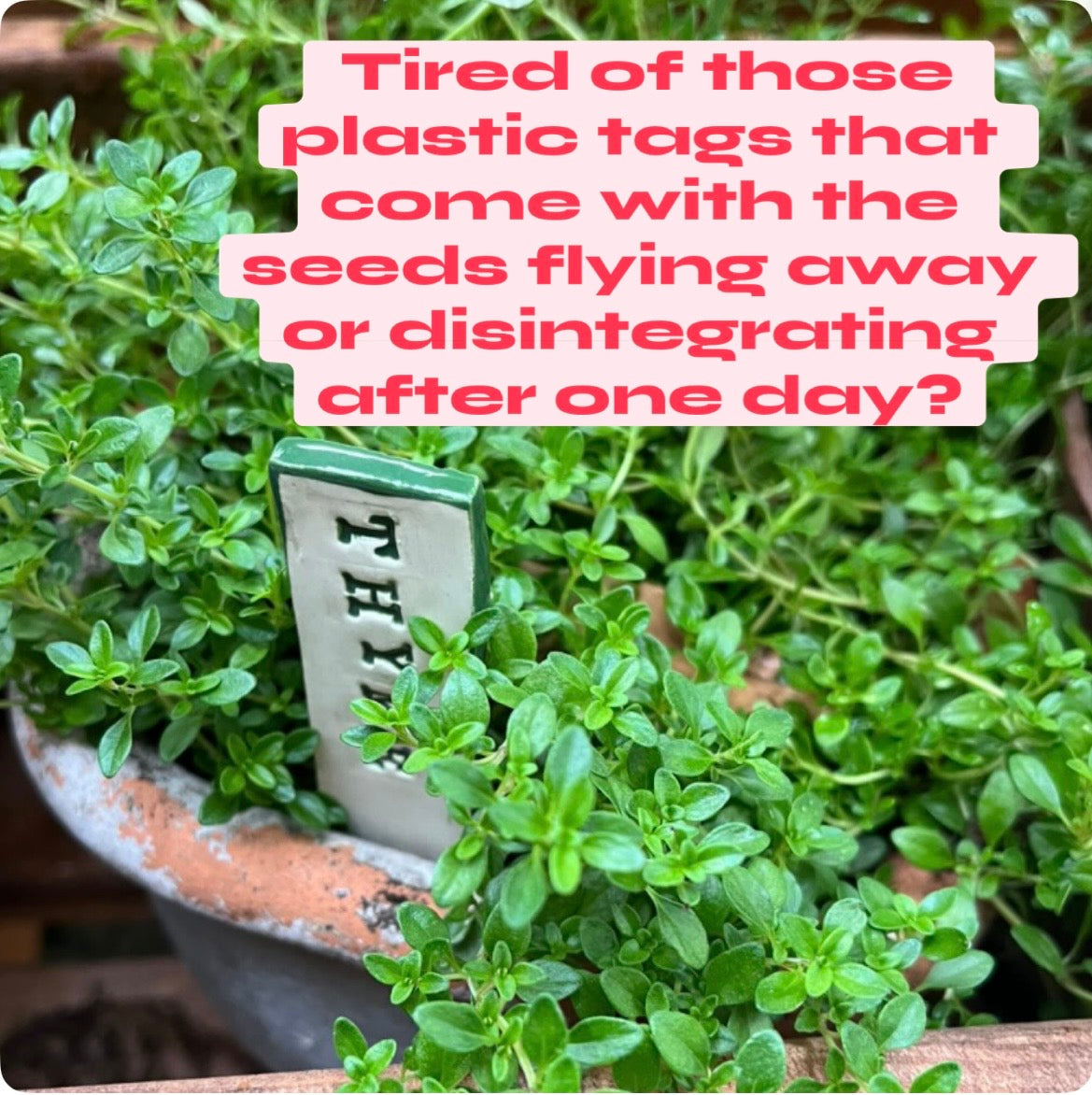 Custom Plant Tags